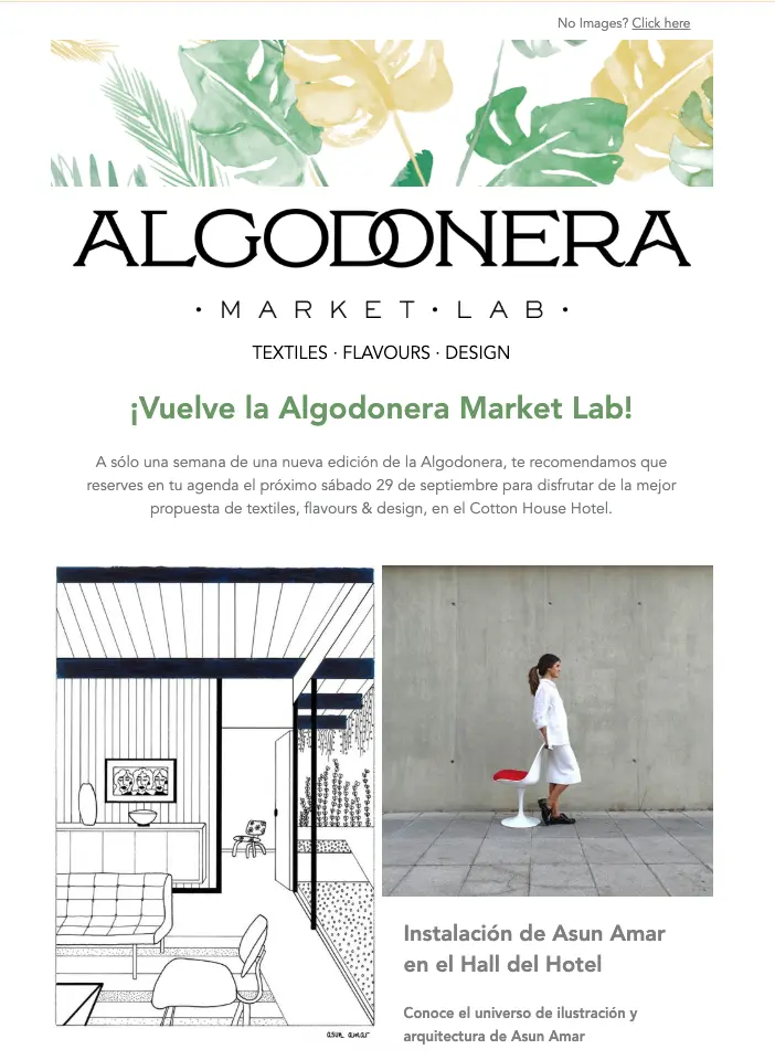 Newsletter de Algodonera Market Lab enviada a la comunidad