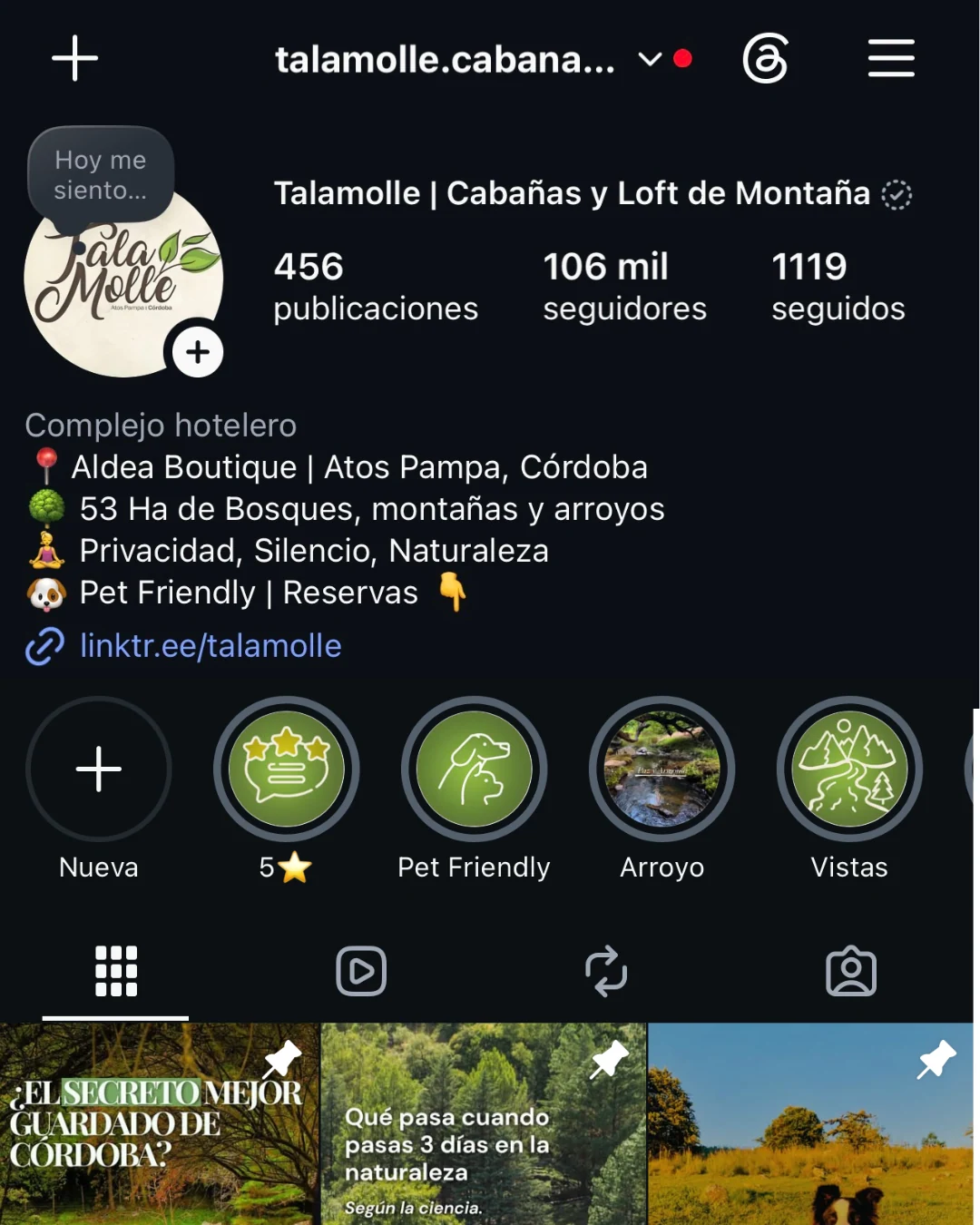 Captura de Instagram de Talamolle, octubre de 2026